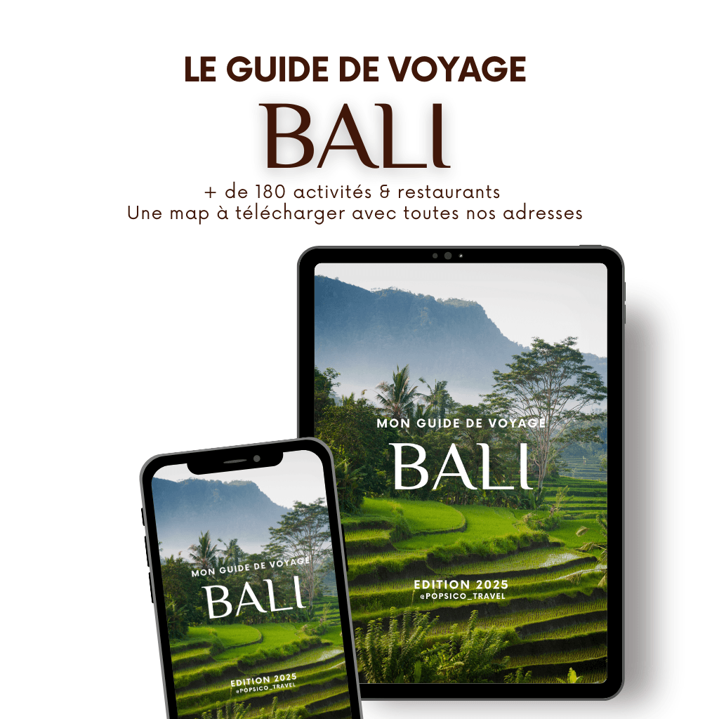 Guide de voyage Bali