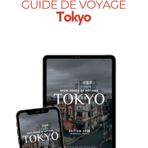 Tokyo : Le Guide de voyage (e-book) + Mont Fuji