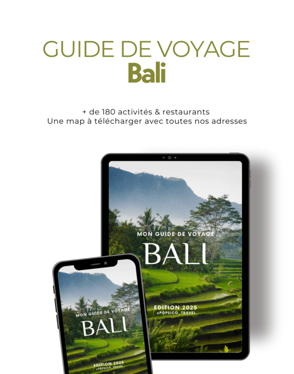 Guide complet de Bali et sa carte interactive