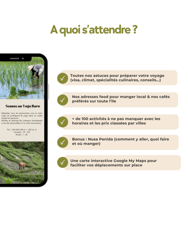Guide complet de Bali et sa carte interactive : a quoi s'attendre ?