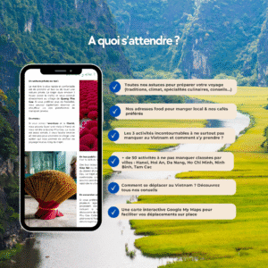 VIETNAM – Guide de voyage + Carte interactive