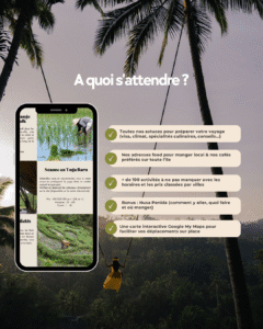 Sommaire du guide de Bali