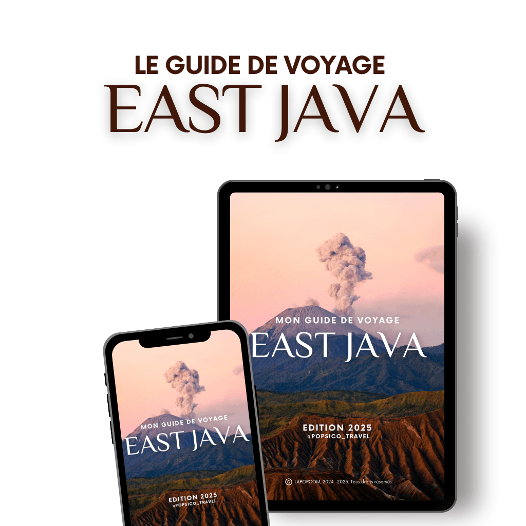Guide de voyage Java