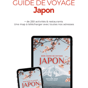 JAPON : LE GUIDE (e-book) + Carte Interactive