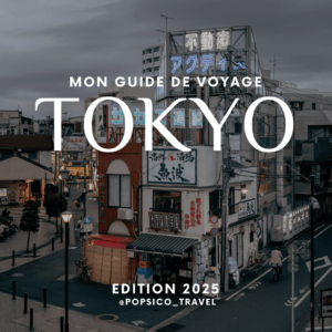 Tokyo : Le Guide de voyage (e-book) + Mont Fuji