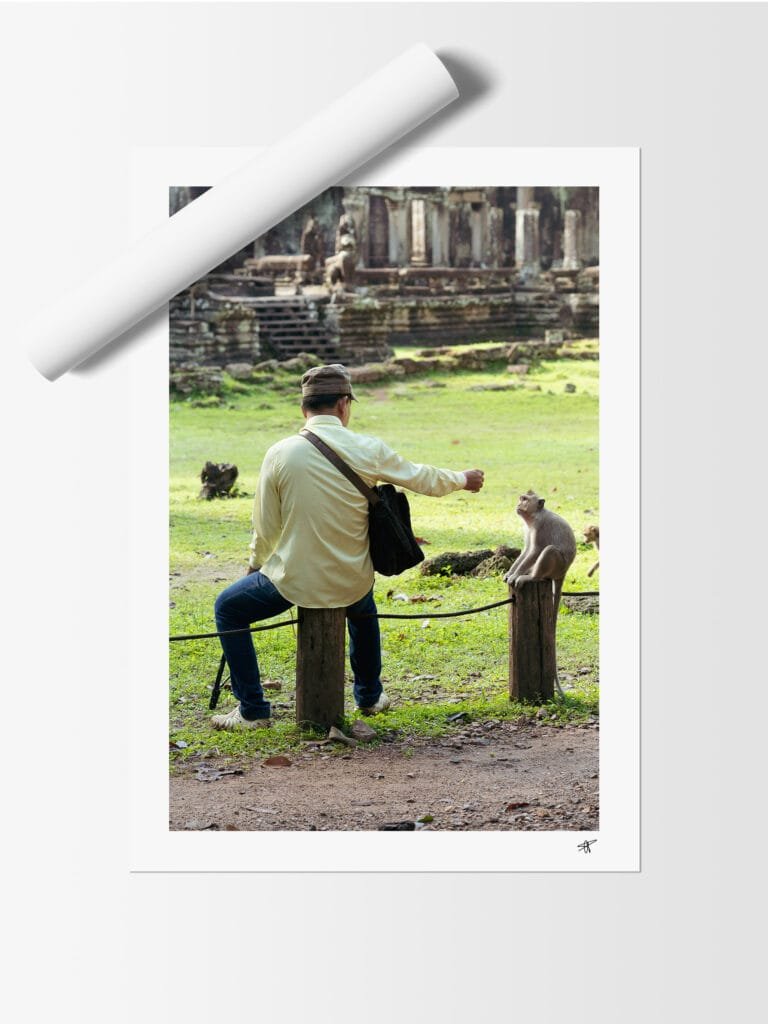 Singe et homme