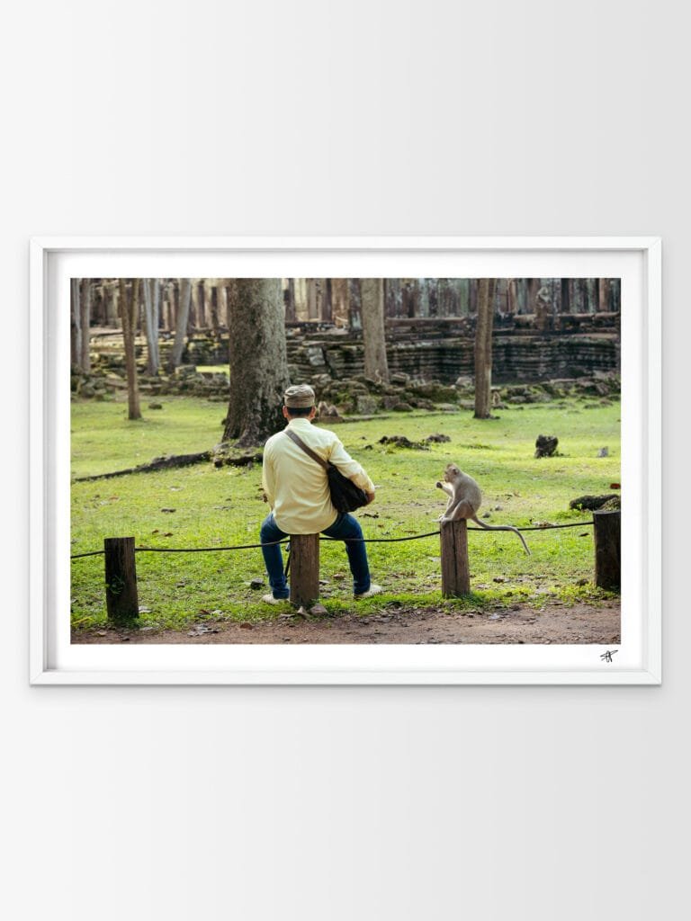 Homme et singe