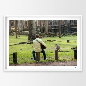 Un Ami Inattendu – Paysage