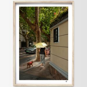 Promenade dans les rues de Shanghai