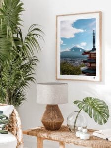 Chureito Pagoda, Mont Fuji