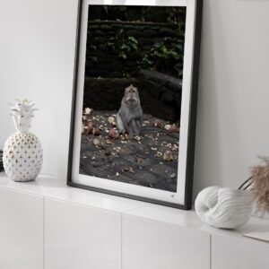 Portrait d’un singe dans la forêt sacrée de Ubud