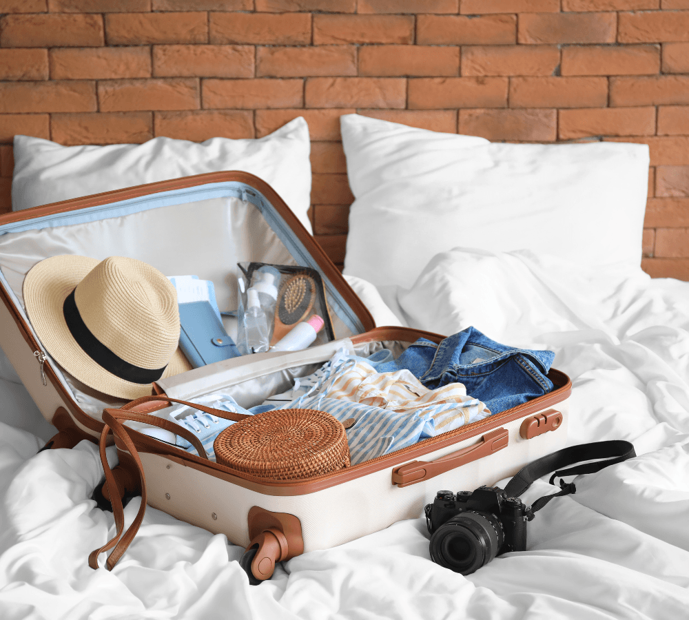 Valise