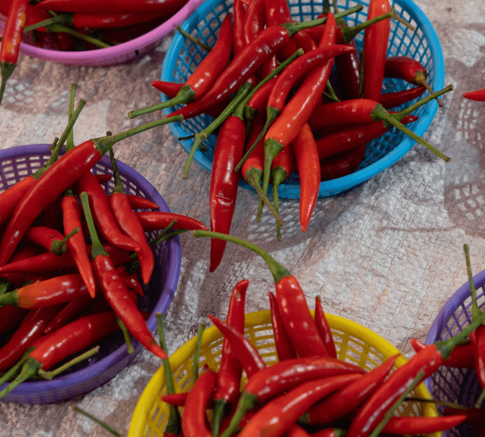 Piment au Cambodge