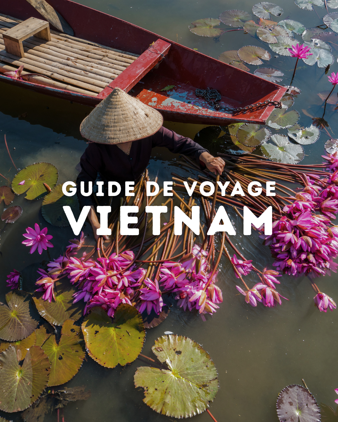 COUVERTURE DE GUIDE - VIETNAM