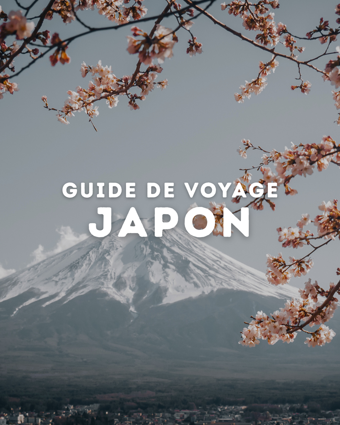 COUVERTURE DE GUIDE - JAPON