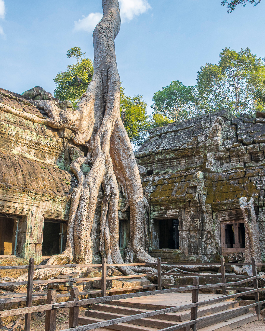 Ta Prohm