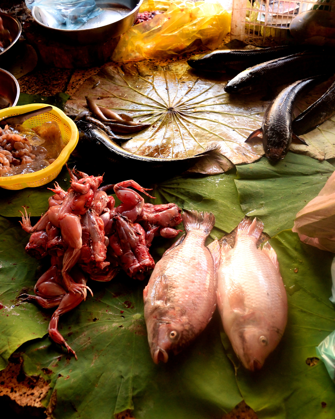 CUISINE CAMBODGIENNE