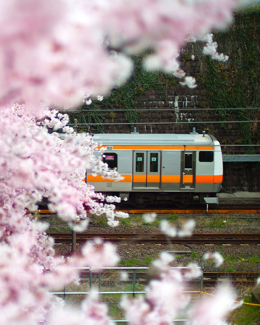 JAPON