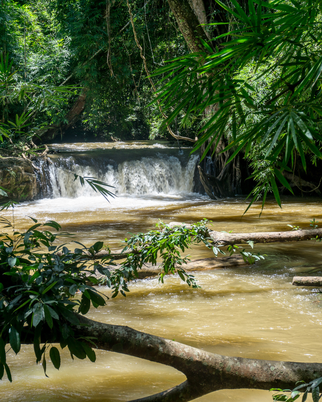 MONDULKIRI