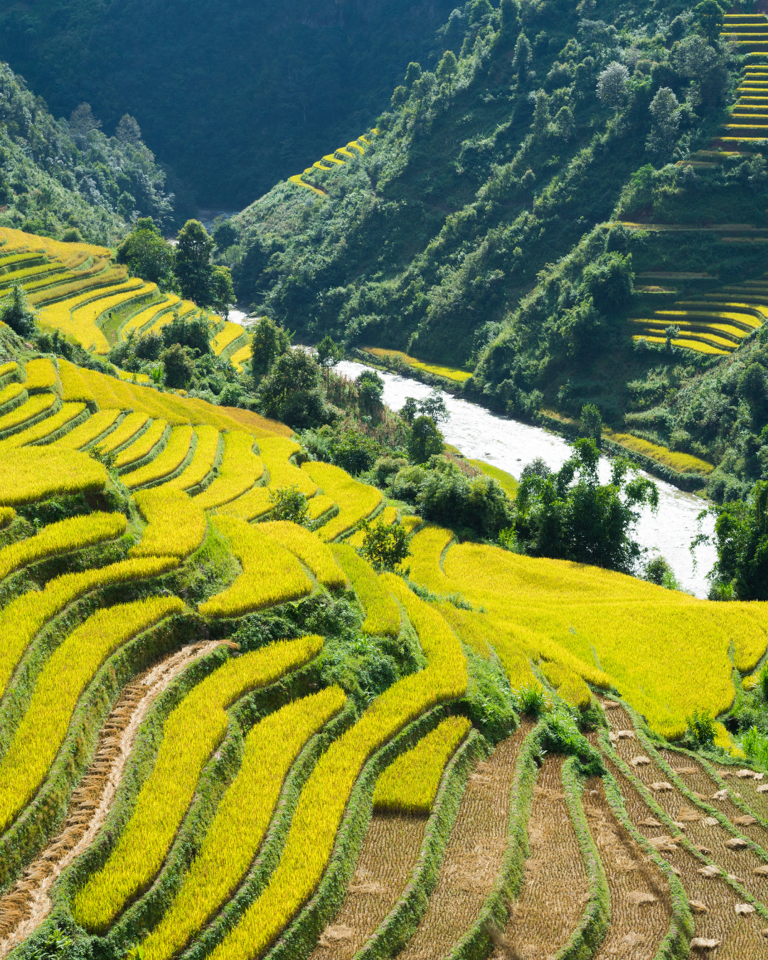 SAPA