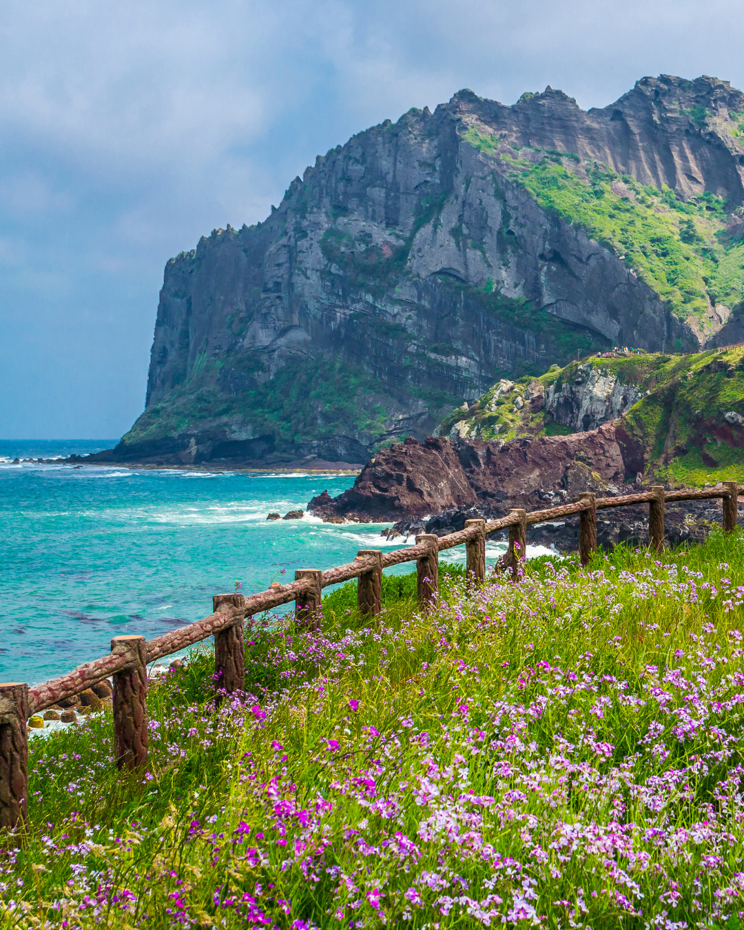JEJU ISLAND