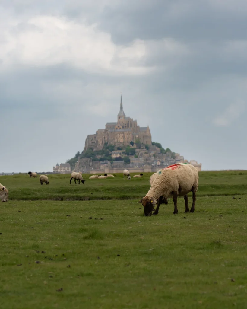 France