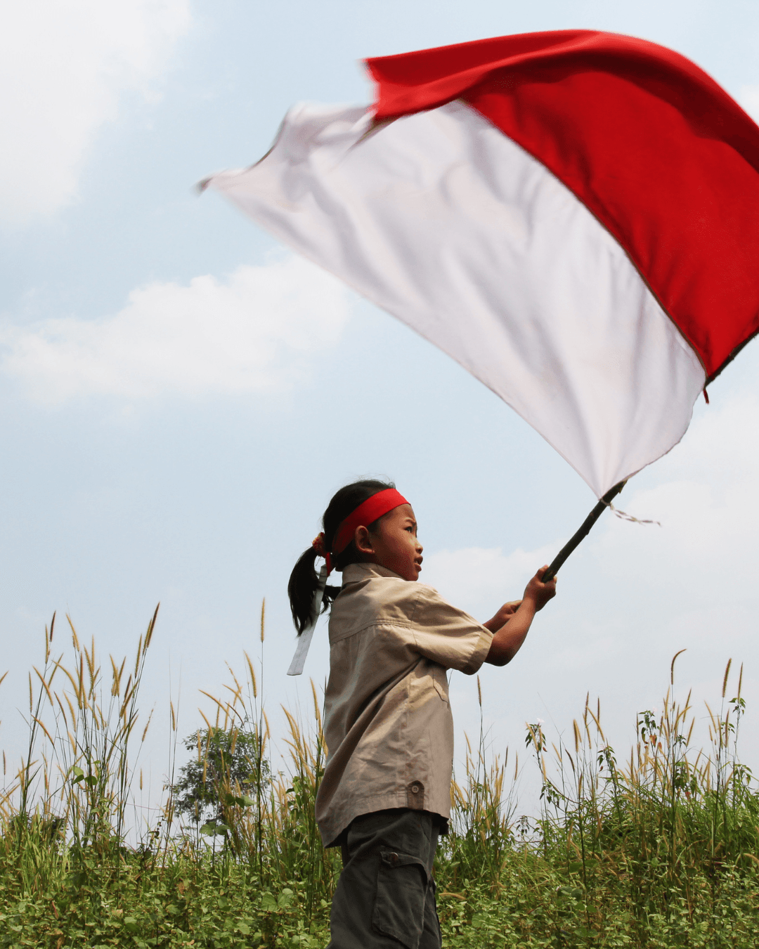 Article Bali
