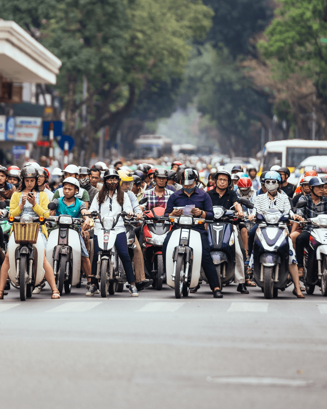 Article Vietnam