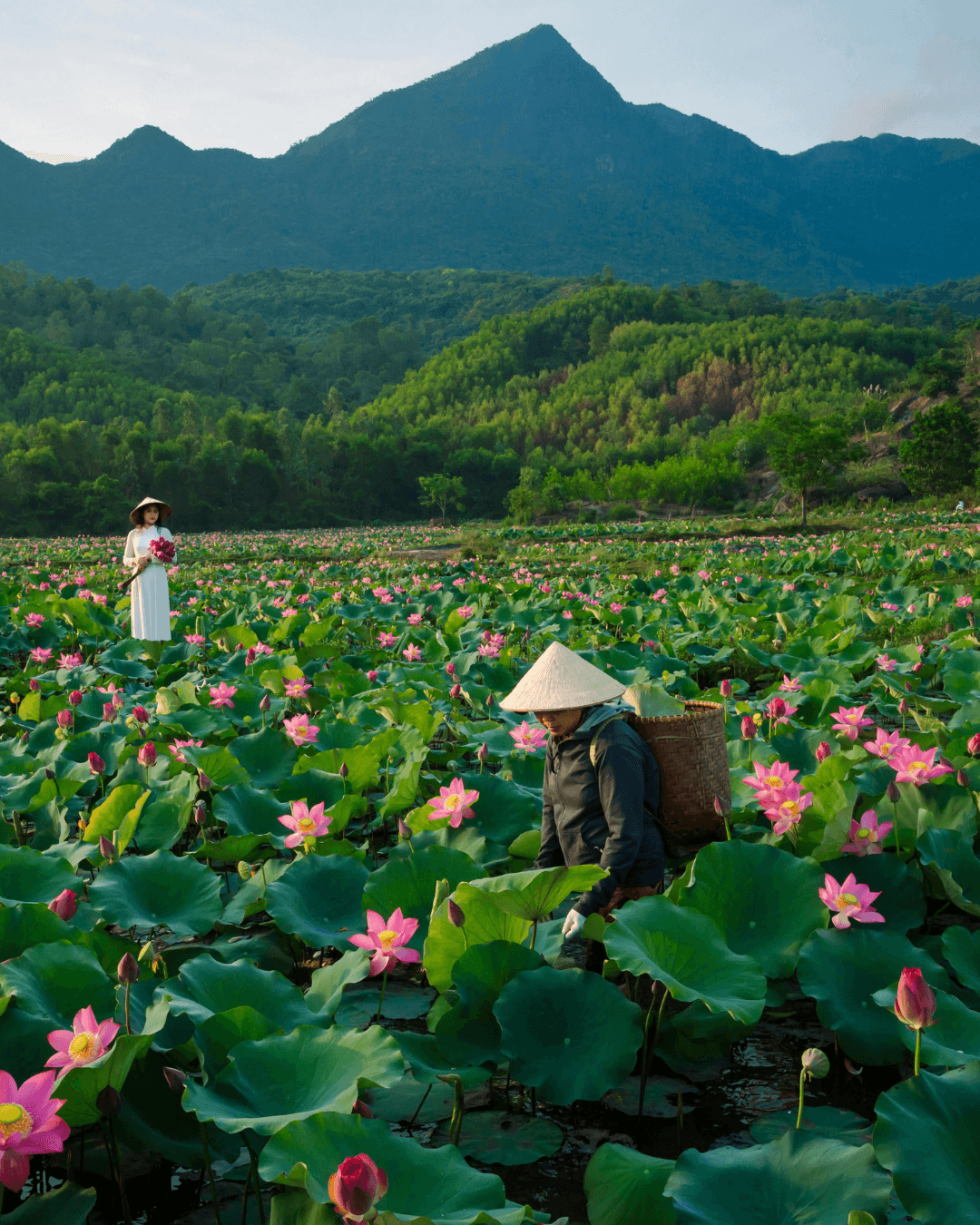 Quelle assurance pour partir au Vietnam ?