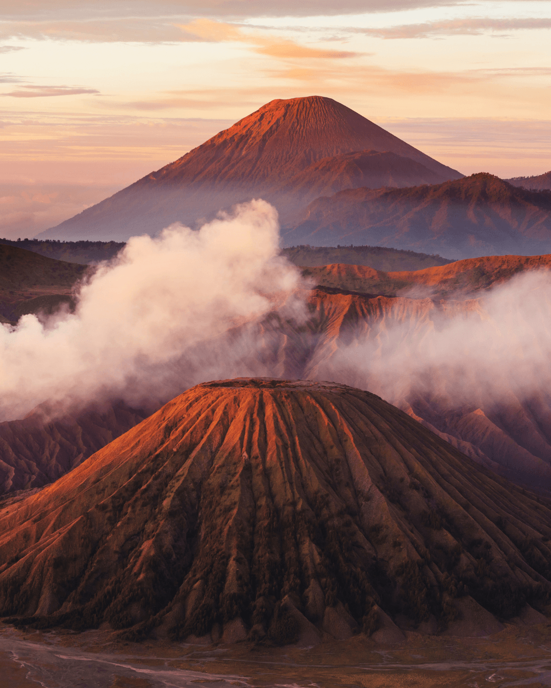Article Bali