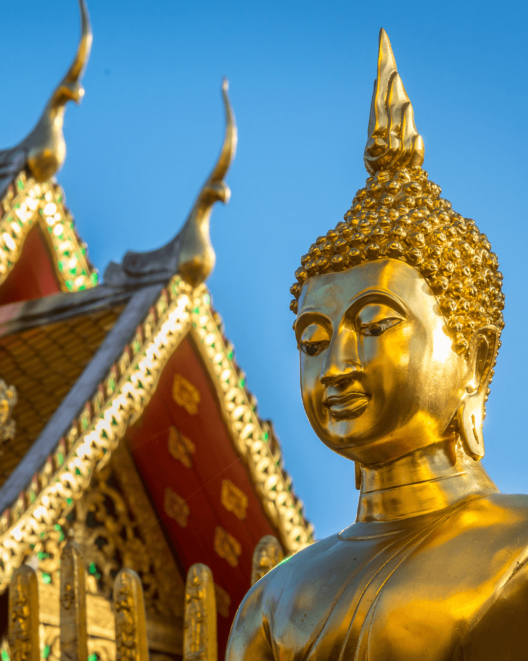 Article Thailande
