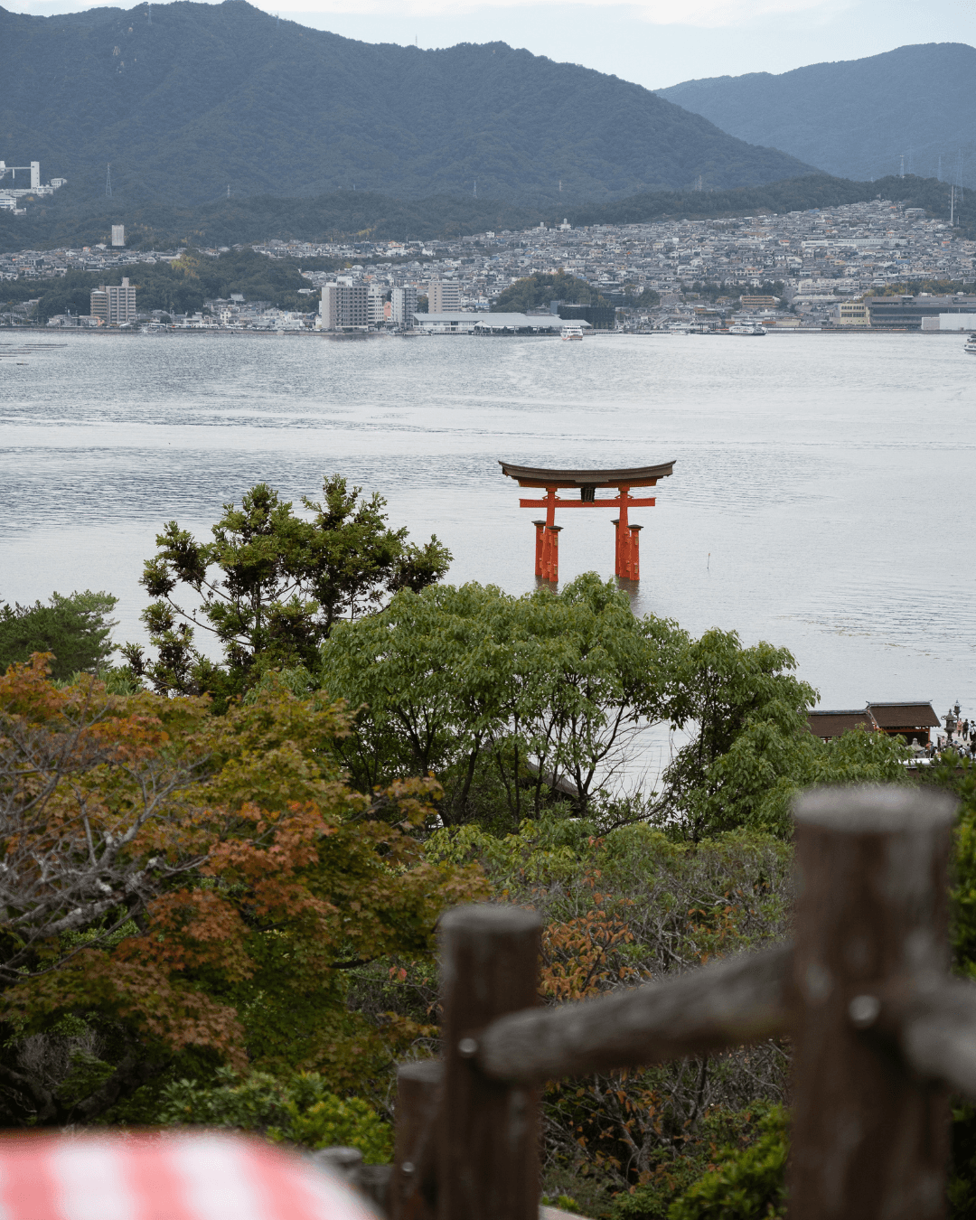Quelle assurance pour partir au Japon ?