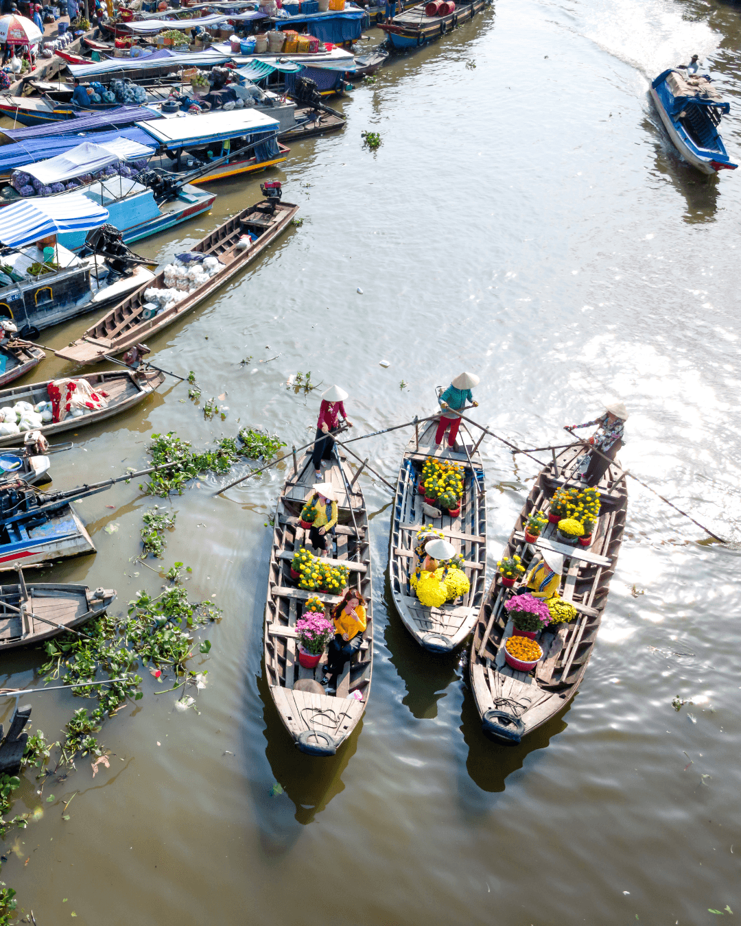 Article Vietnam