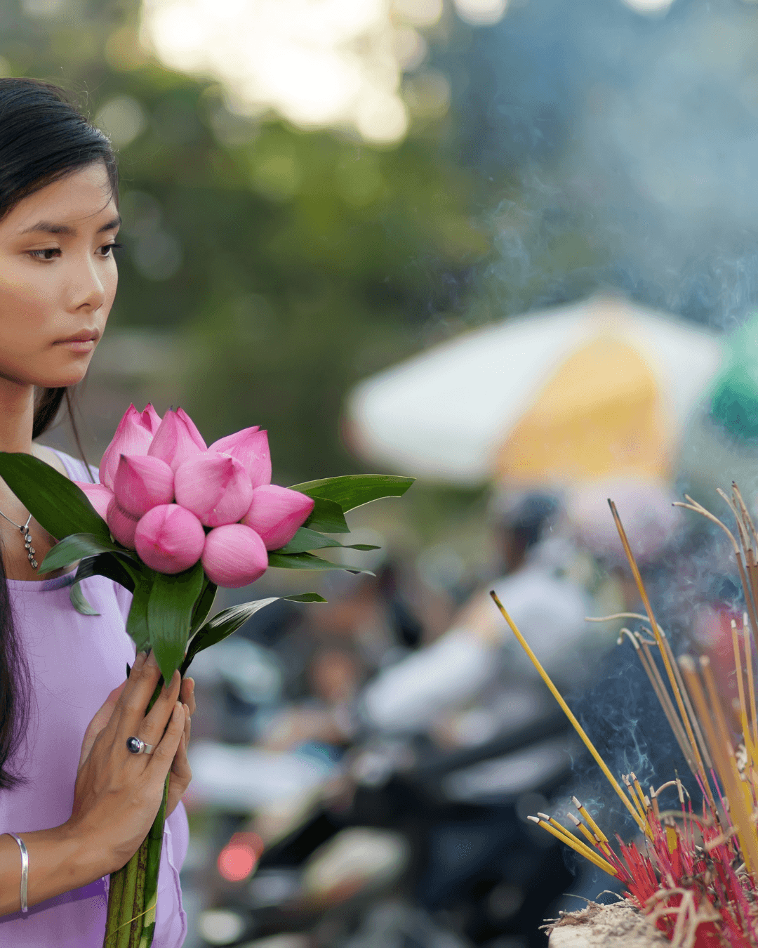 Article Vietnam
