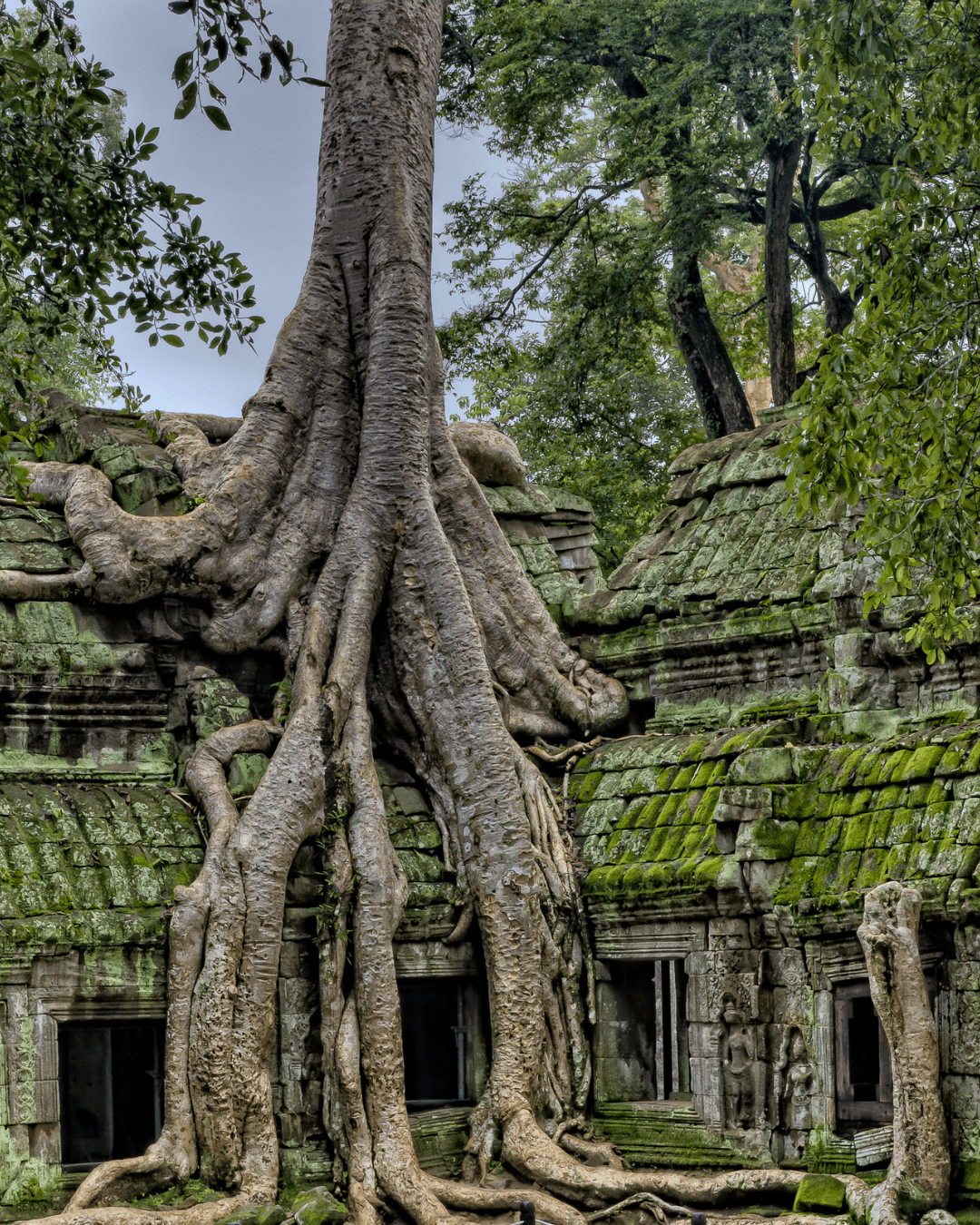 Article Cambodge