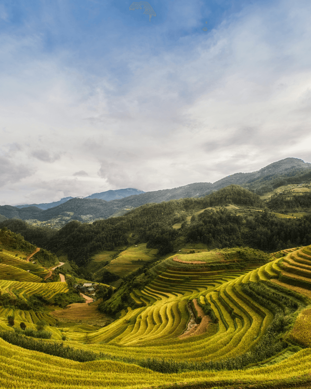 Article Vietnam
