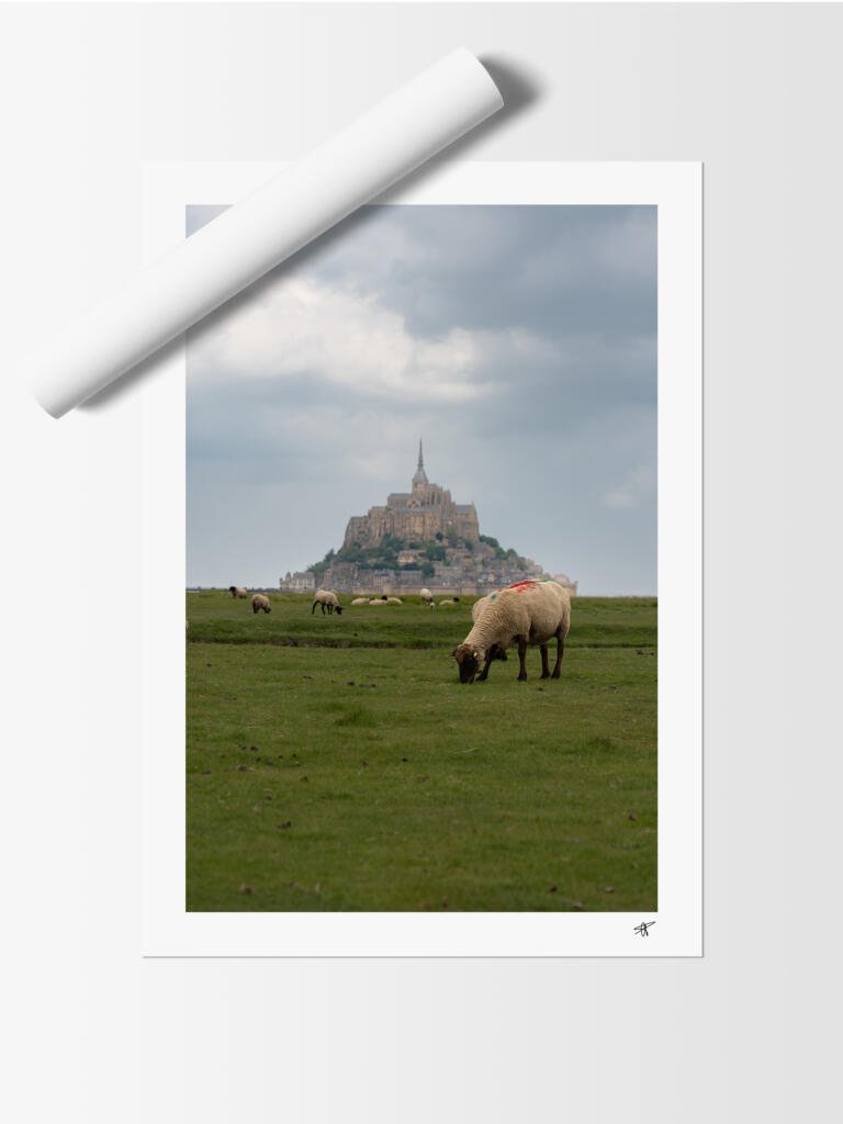 Image produit 6