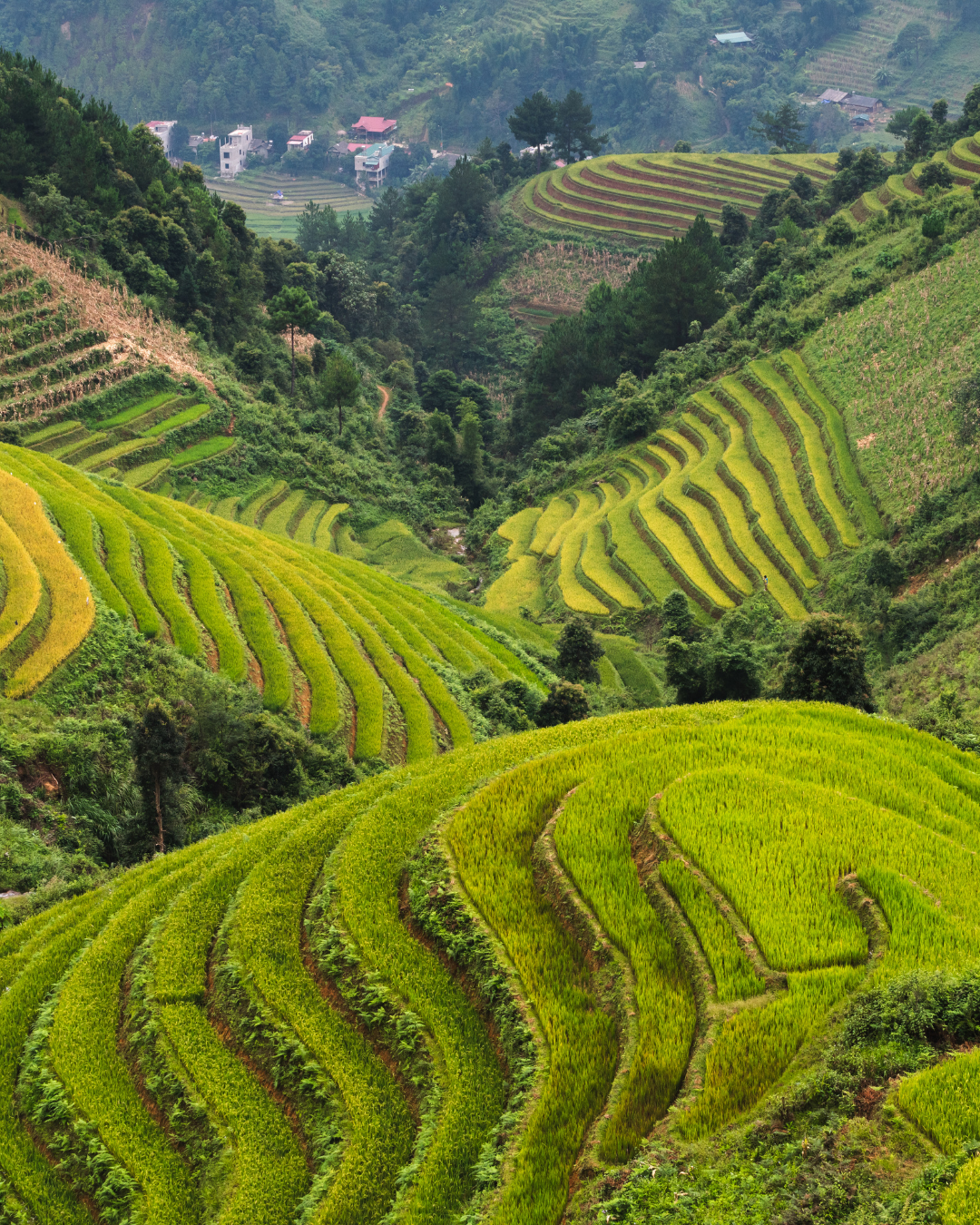 Articles de voyages - Vietnam pas cher