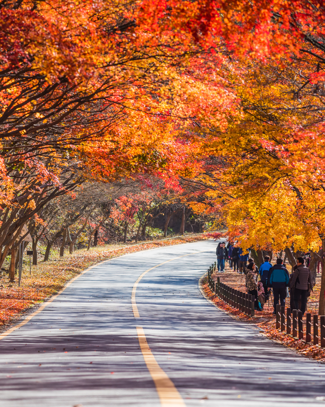 Article de voyages - voyager par cher à Séoul