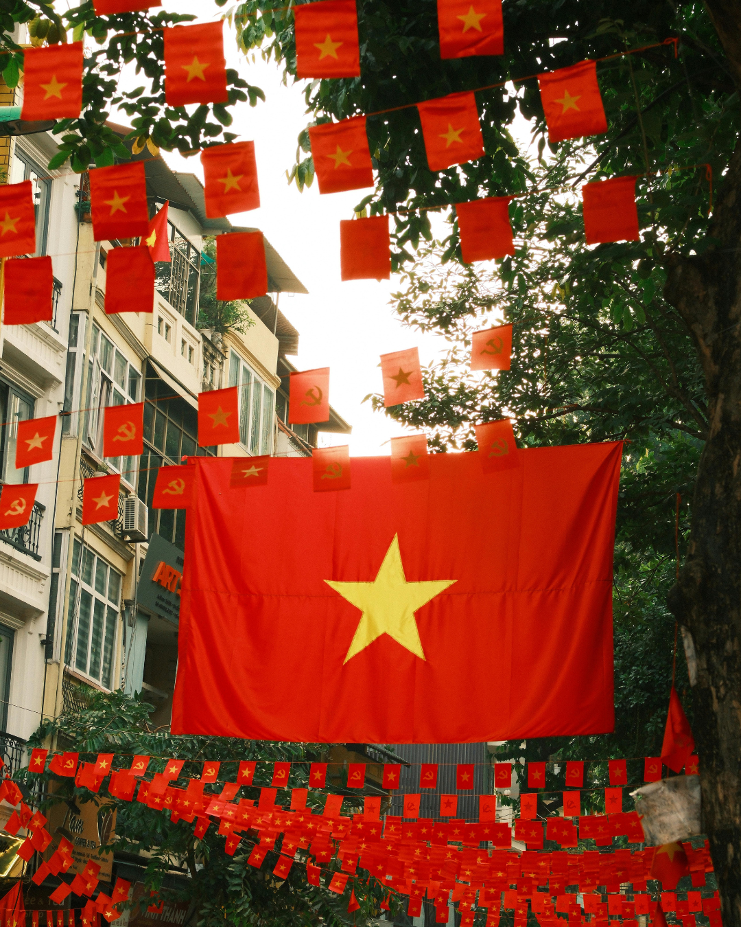 Articles de voyages - Vietnam pas cher