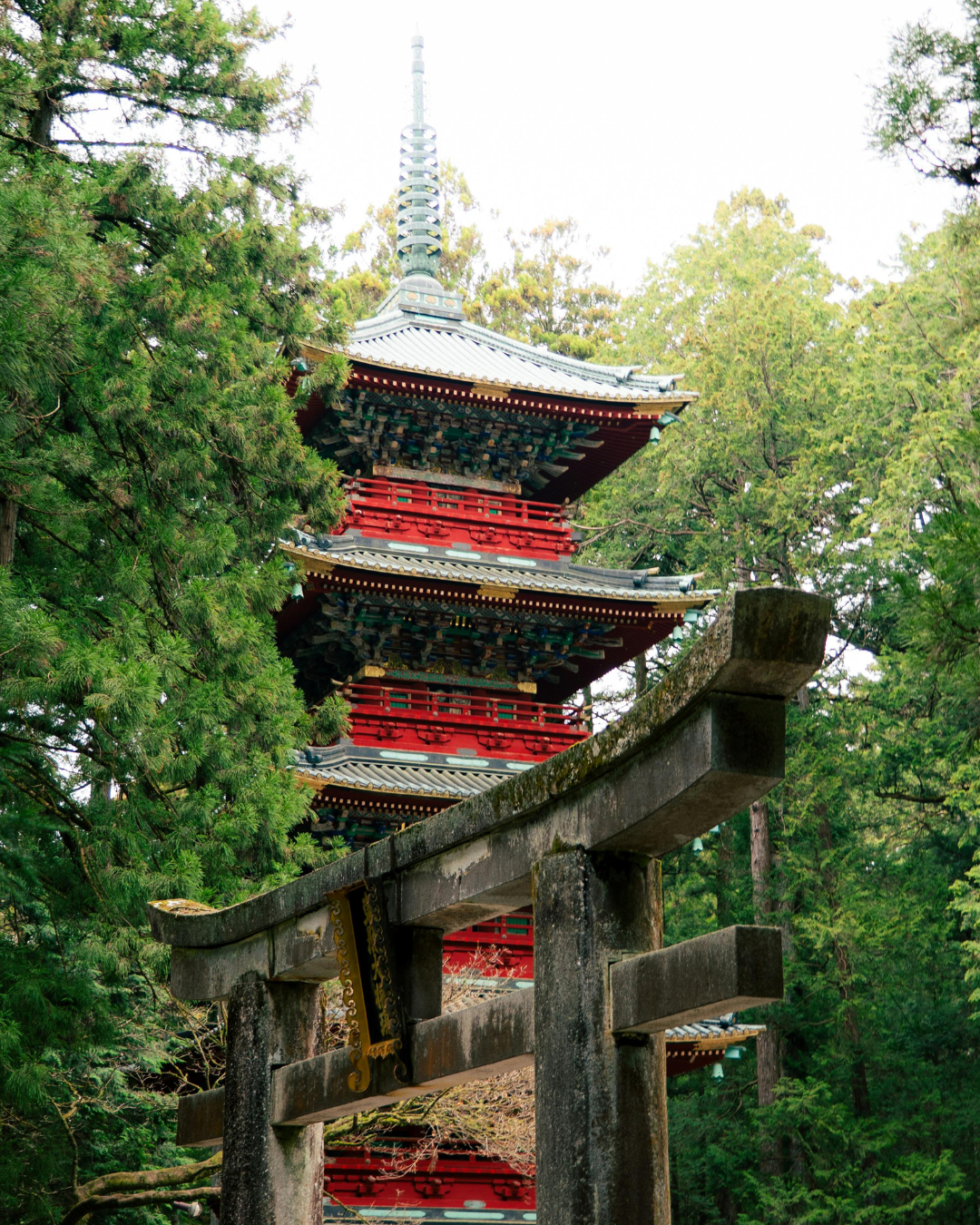 Le guide pratique pour voyager avec un petit budget au Japon