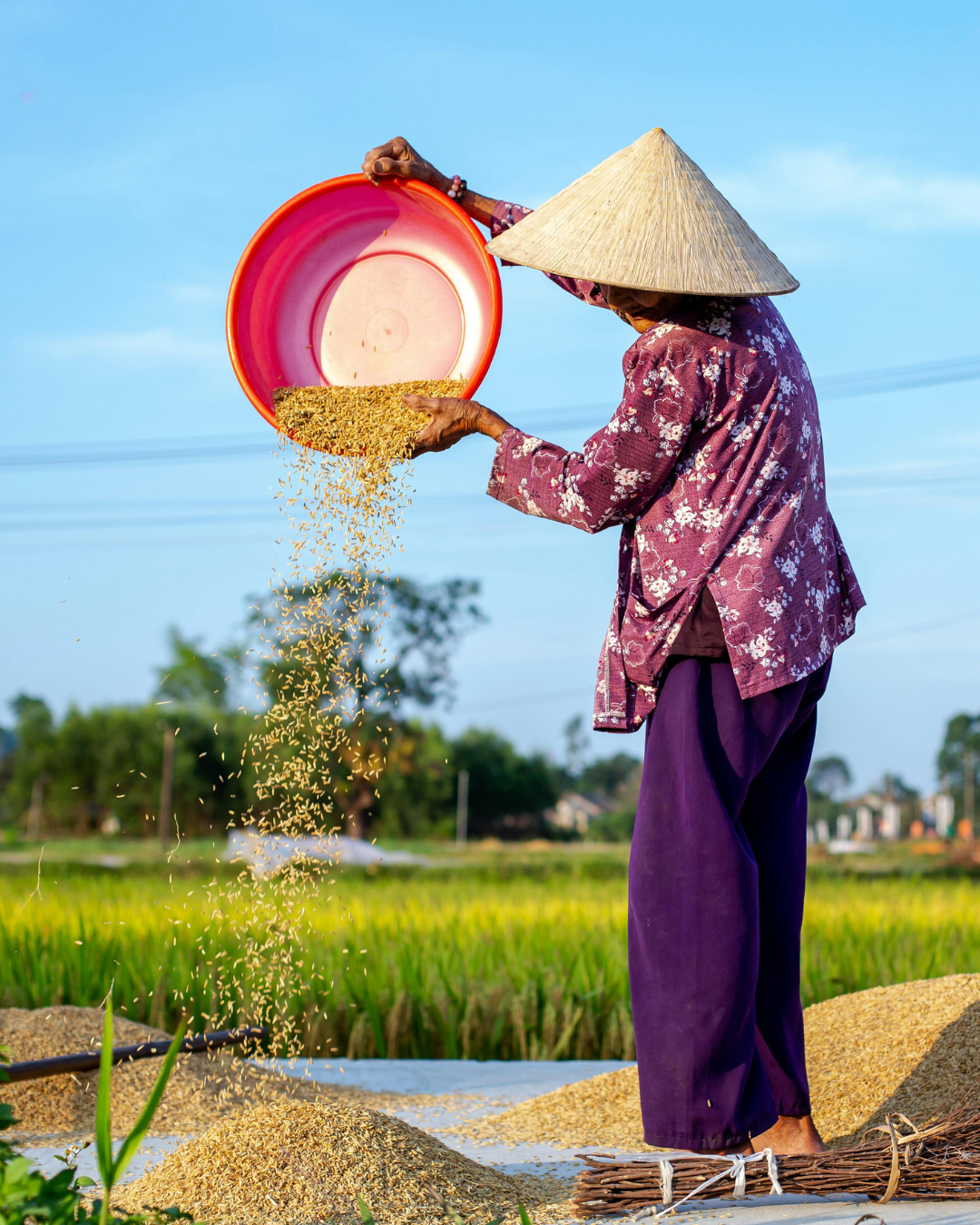 Articles de voyages - Vietnam pas cher