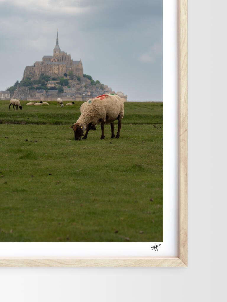 Image produit 5