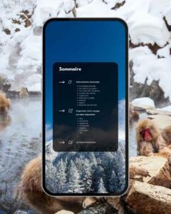 Sommaire du guide Alpes Japonaises : Gifu, Nagano, Matsumoto et guide complet de la logistique en zone rurale.