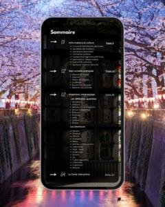 Sommaire détaillé du guide Tokyo incluant la logistique, les quartiers de l'hyper-centre et les excursions à Nikko, Kamakura et Hakone.