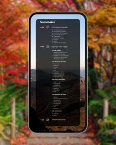 Sommaire détaillé du guide : structure complète pour la préparation budgétaire et l'organisation des itinéraires au Japon.