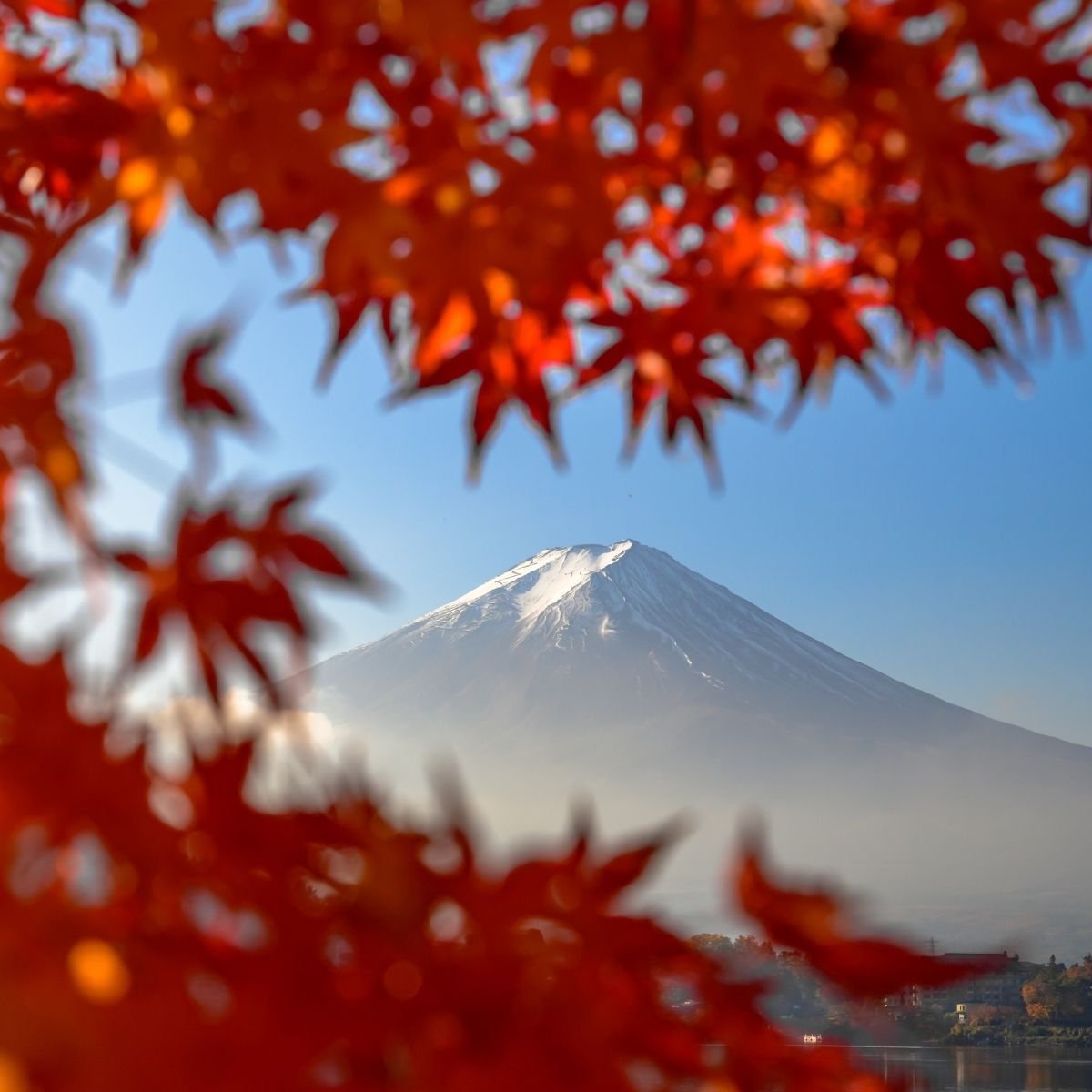 Momiji et Mont Fuji