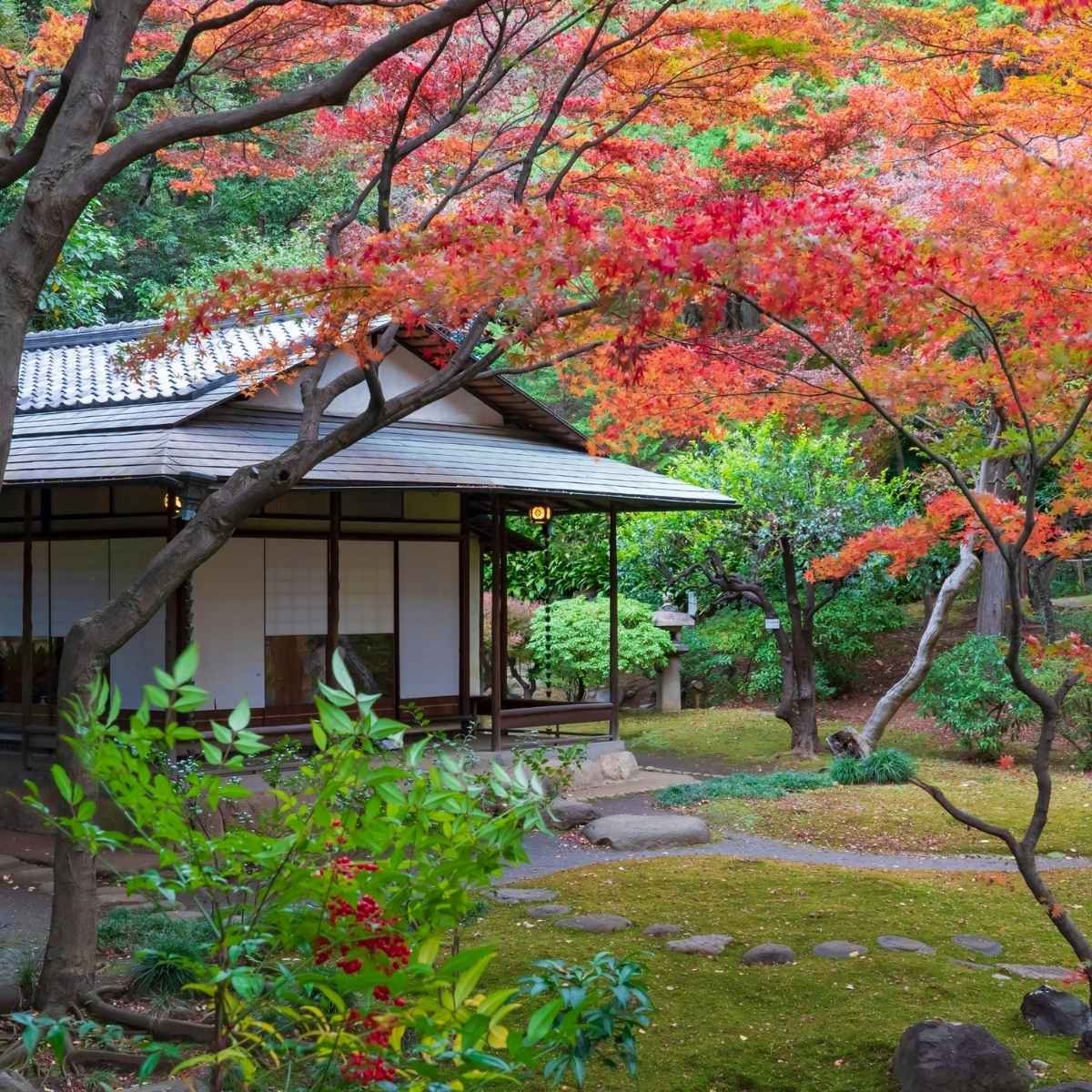 Enko-jii, Kyoto