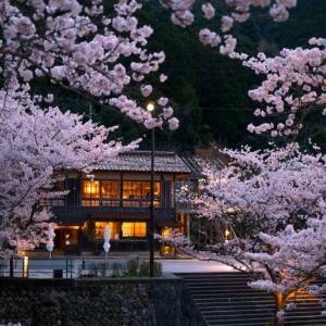 Kinosaki onsen : les sources thermales