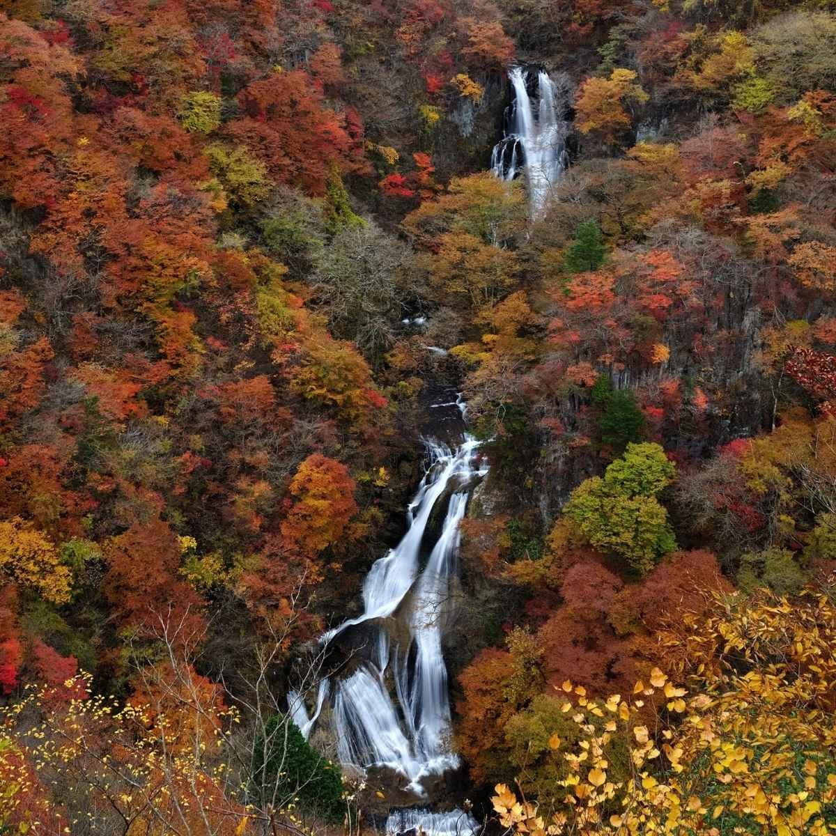 Cascade à Nikko pendant les momiji